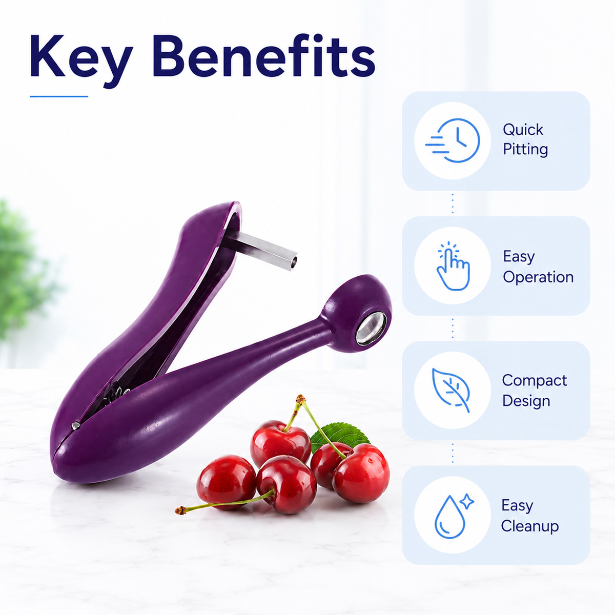 Kirschkern-Entferner Handliche – Kitchen And Baking Tools Bewertung und Preis